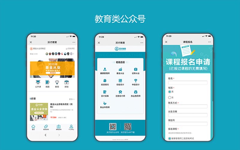访谈记录:揭秘网络科技公司的幕后故事